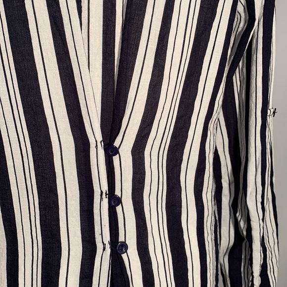 Papllion Size M - Picture 9 of 11